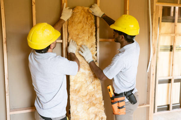 Best Spray Foam Insulation  in Luling, LA